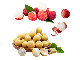 葡萄加工生產(chǎn)線